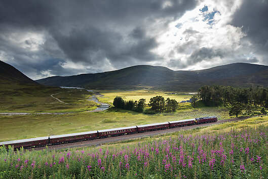 A train bisects a grassy valley surrounded by mountains and flowers