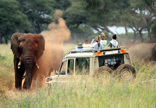 Kenya and Tanzania: A Classic Safari