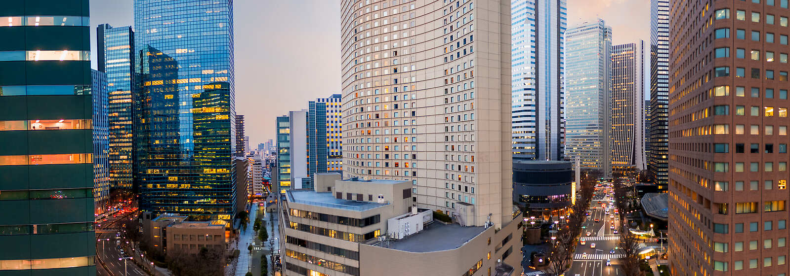 Aerial View of Hilton Tokyo