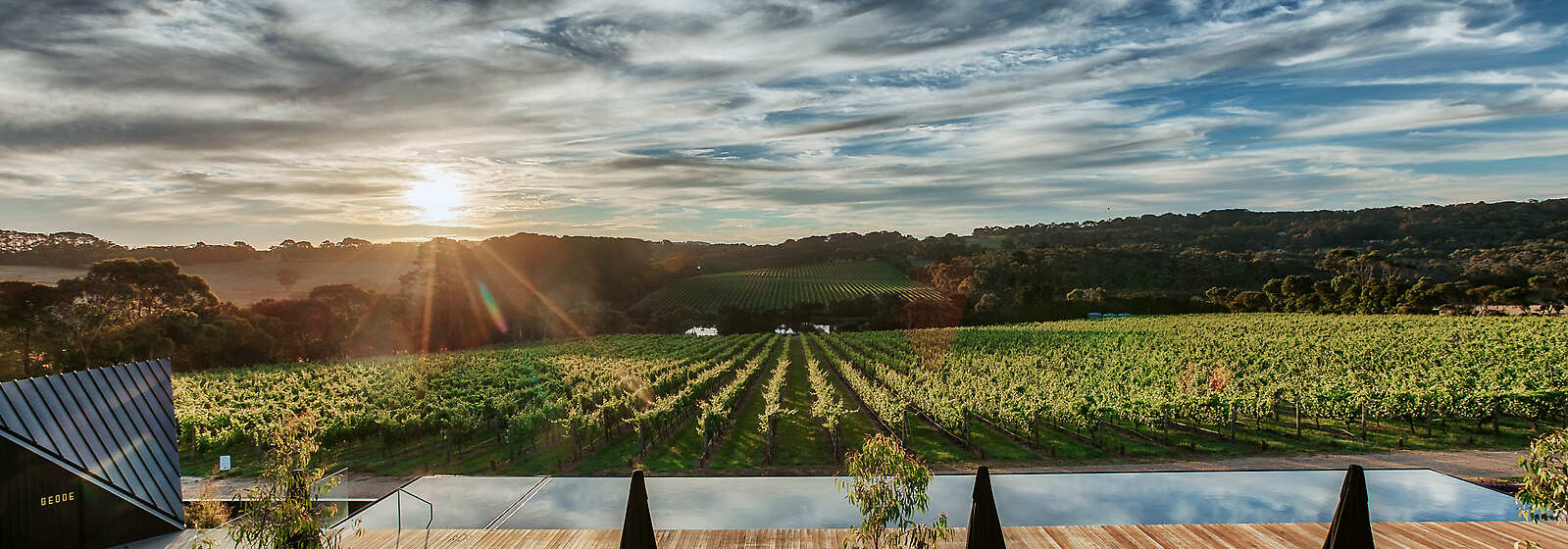 Aerial View of Infinity Pool and Vineyards