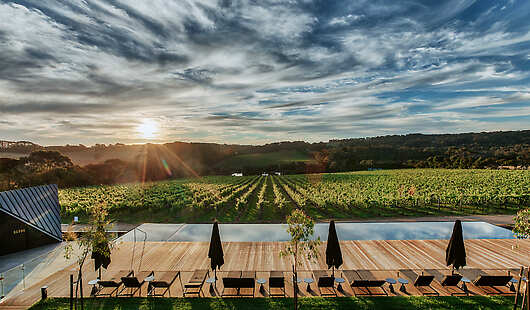 Aerial View of Infinity Pool and Vineyards