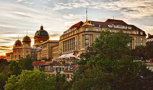 Aerial View of Bellevue Palace