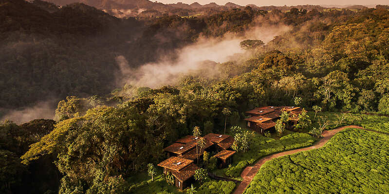 Oneandonly Nyungwe House