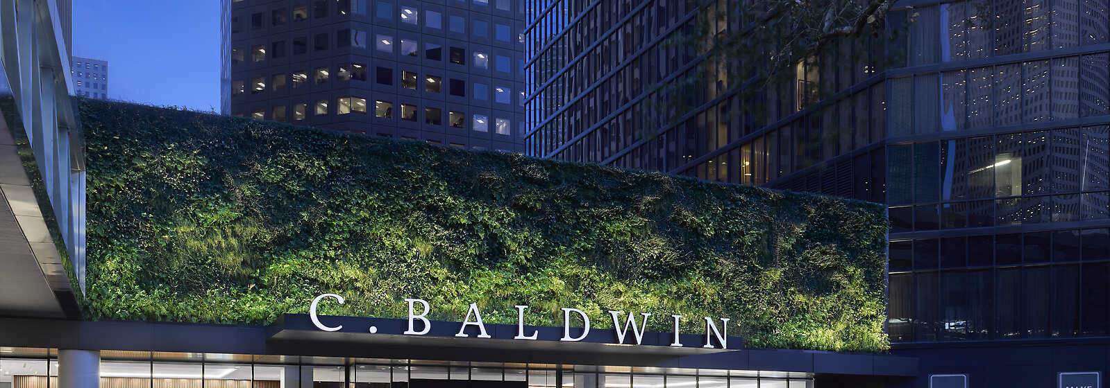 C. Baldwin, Curio Collection by Hilton Exterior