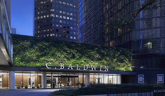 C. Baldwin, Curio Collection by Hilton Exterior