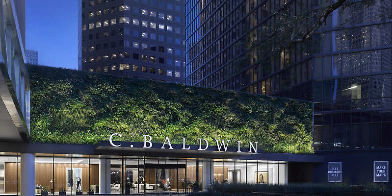 C. Baldwin, Curio Collection by Hilton