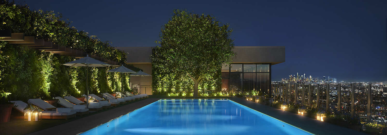 Rooftop Pool and Restaurant