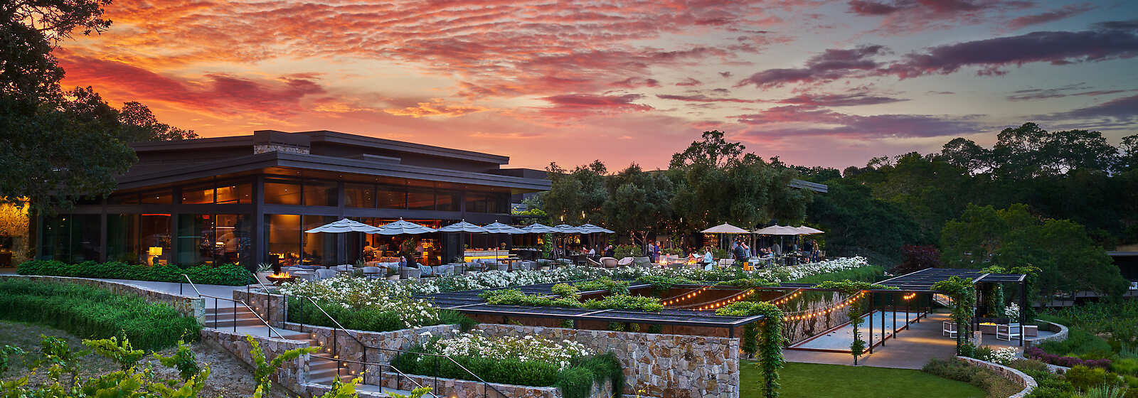 Montage Healdsburg Sunset View