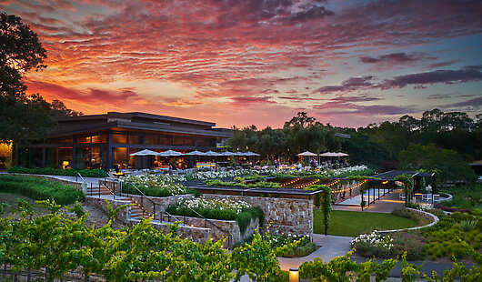 Montage Healdsburg Sunset View