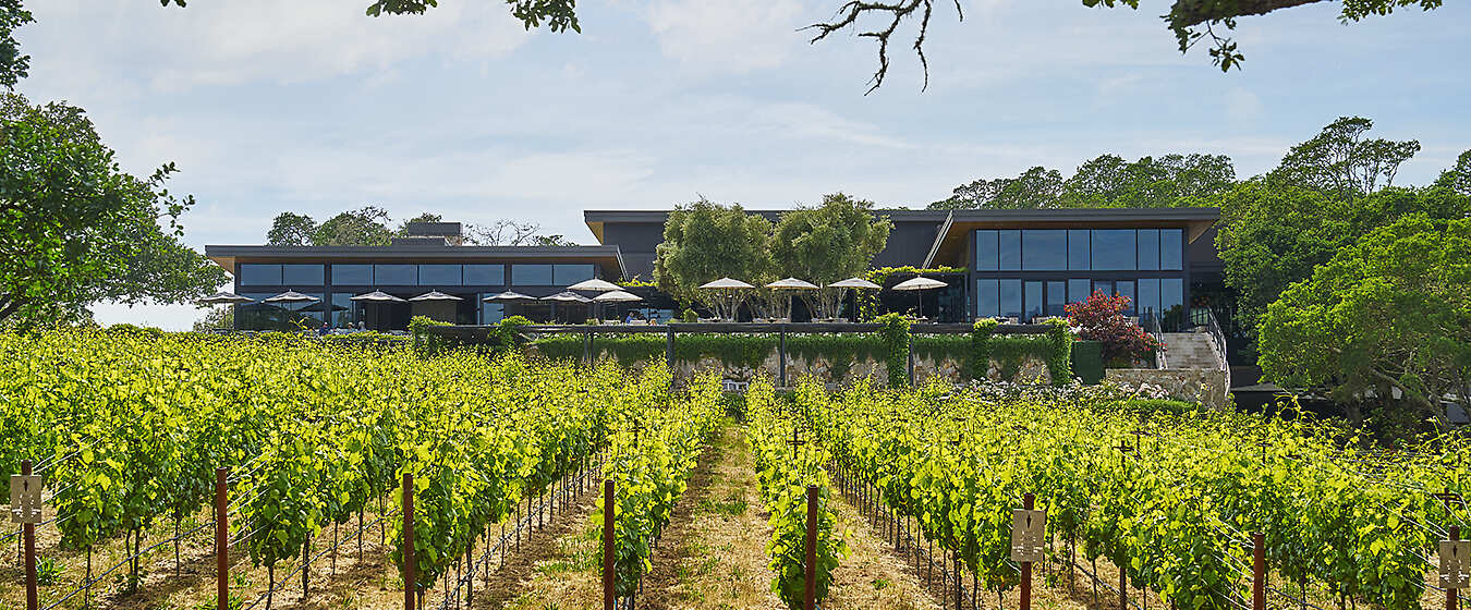 Montage Healdsburg Exterior and Vineyard 