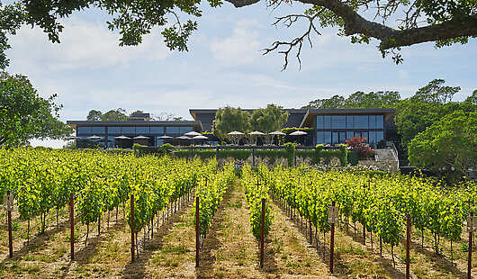 Montage Healdsburg Exterior and Vineyard 