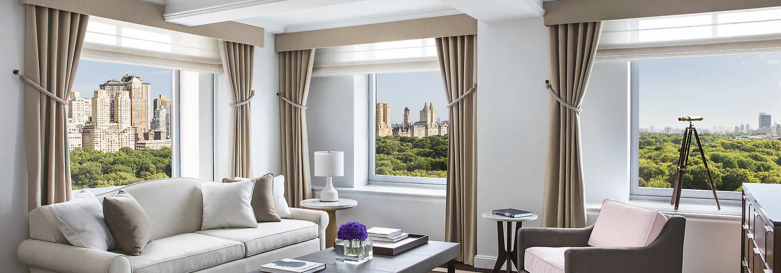 Premiere Park View Suite Living room