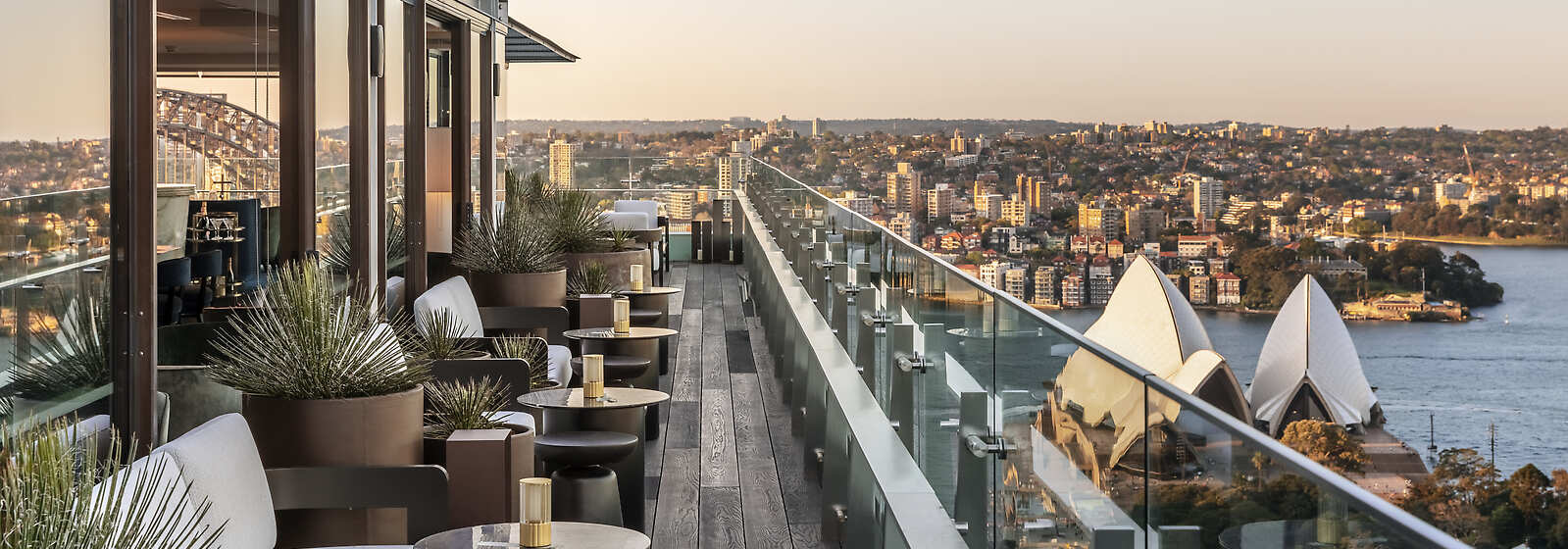 Aster Roof top Bar - outdoor terrace