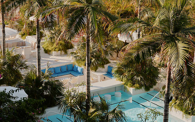 Palm Heights