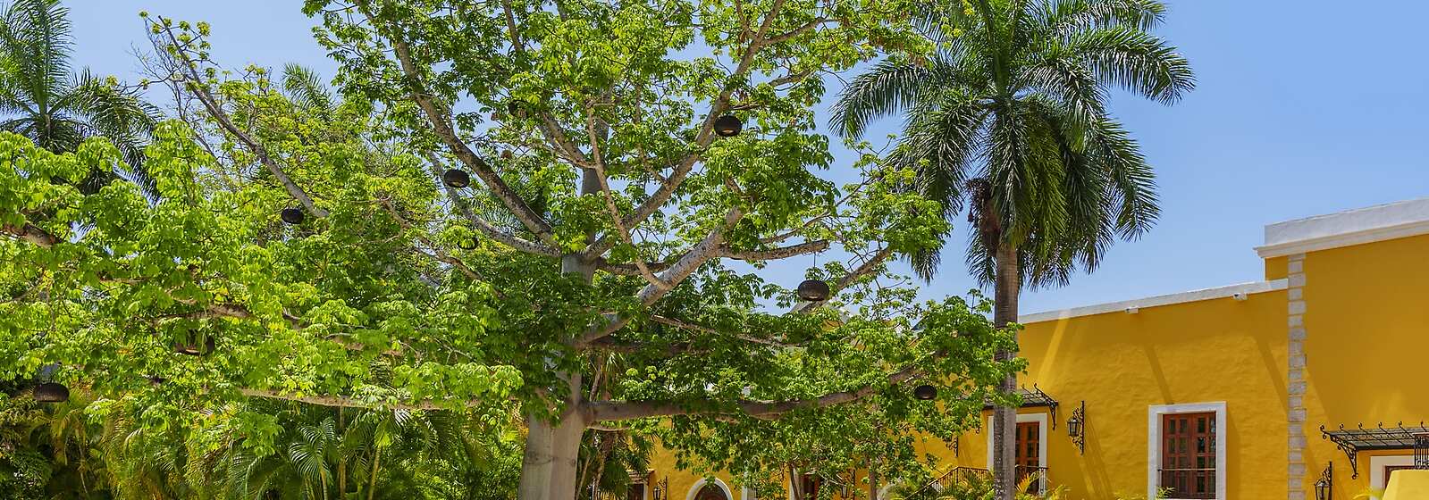 Motor Lobby and Main Entrance