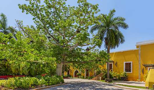 Motor Lobby and Main Entrance