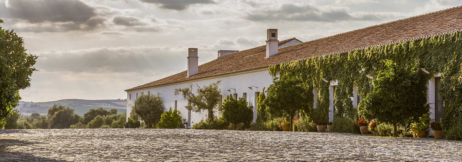 The view of the main street of the hotel.
