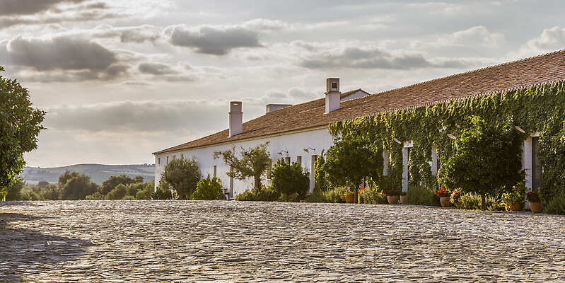 São Lourenço do Barrocal