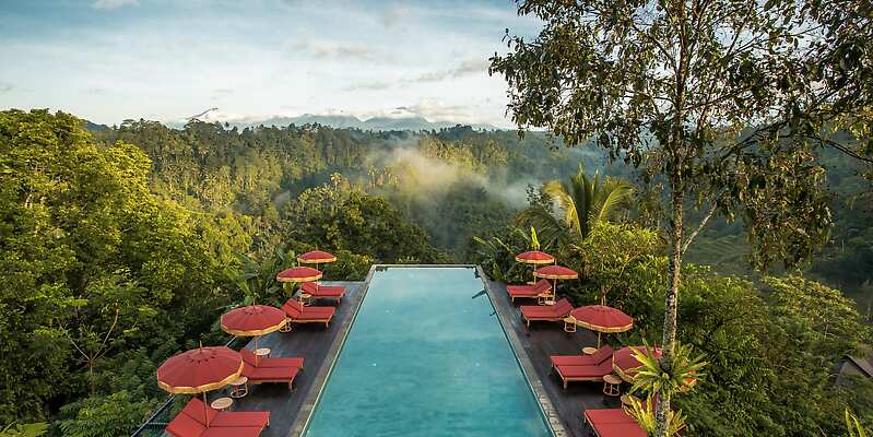 Buahan A Banyan Tree Escape