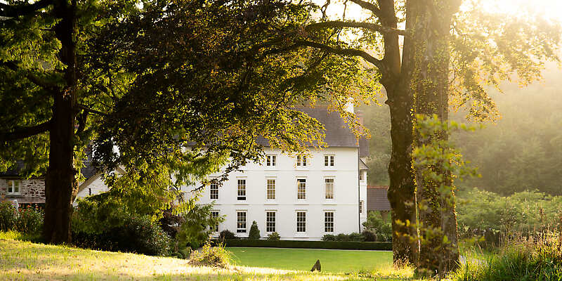 Grove of Narberth
