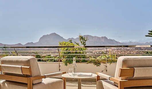 Deluxe Guestroom Terrace