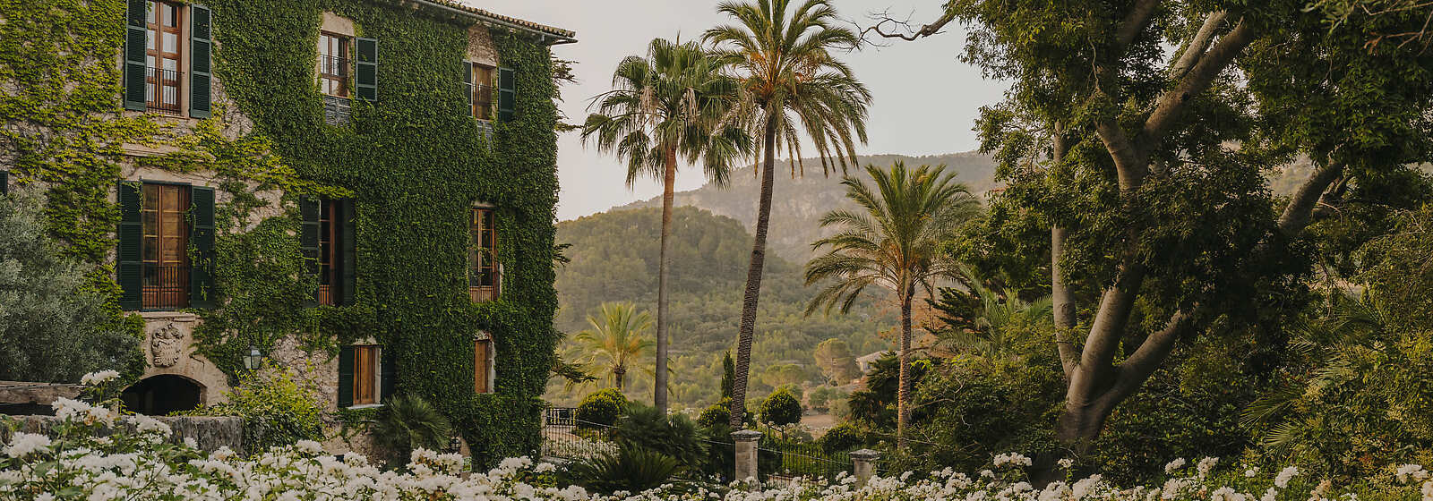 Grand Hotel Son Net Entrance