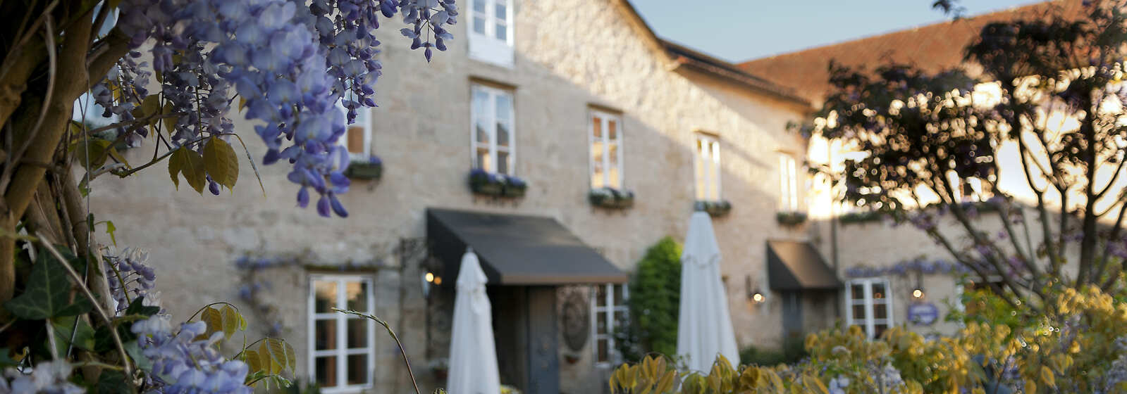 A Quinta da Auga Exterior 