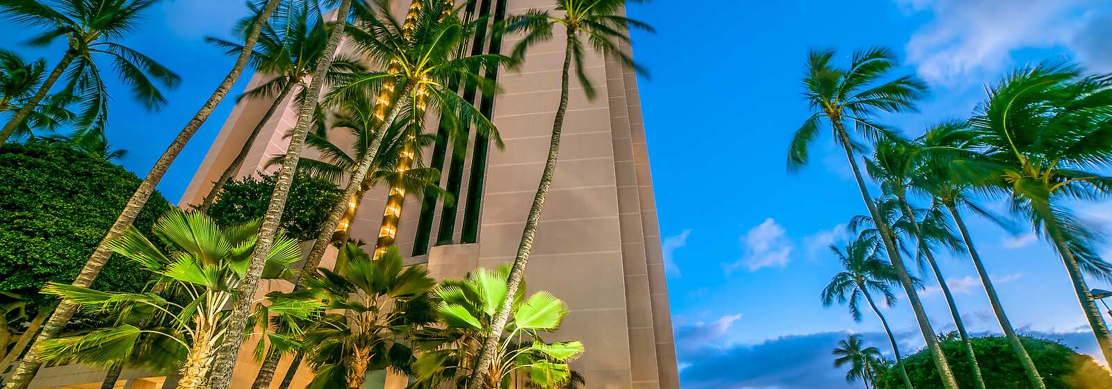 Evening Exterior View