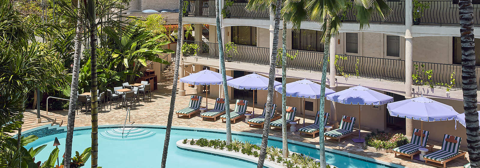 Aerial View of Swimming Pool