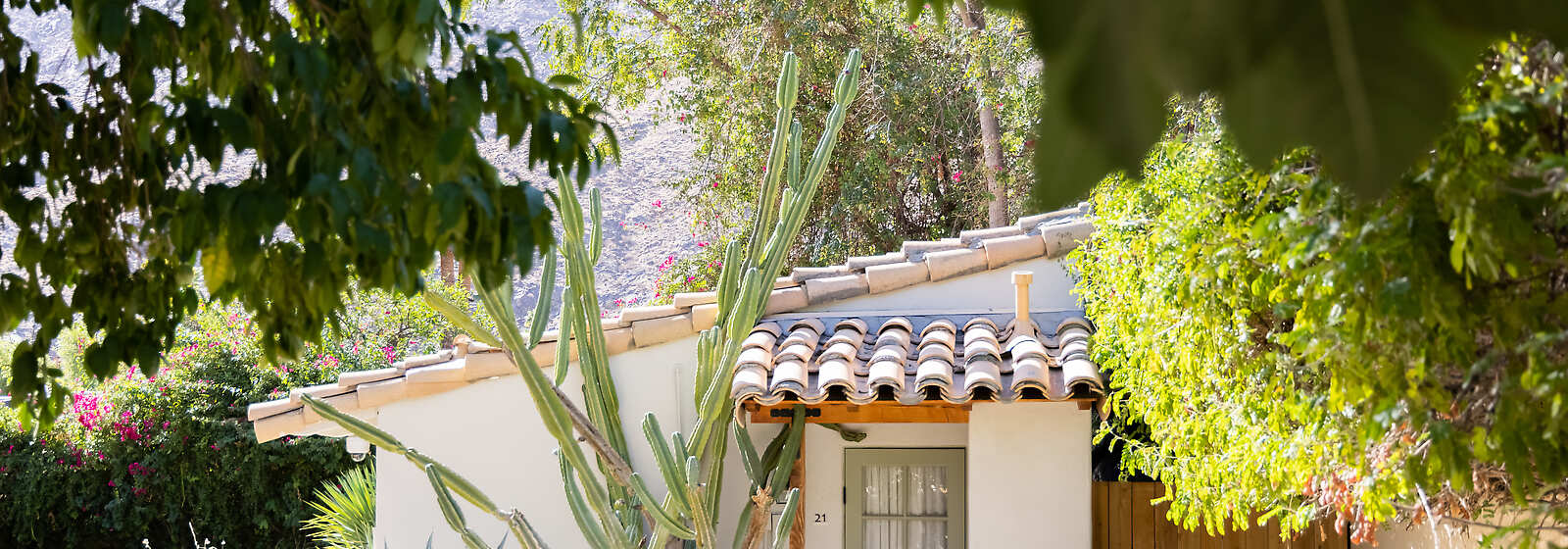 Historic Cottage and gardens