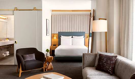 Deluxe Queen Suite Living Area 