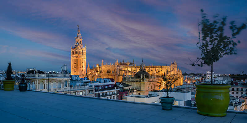 Querencia de Sevilla, Autograph Collection