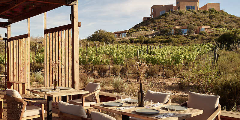 Banyan Tree Veya Valle de Guadalupe