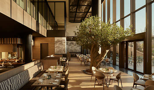 Janu Mercato Restaurant 