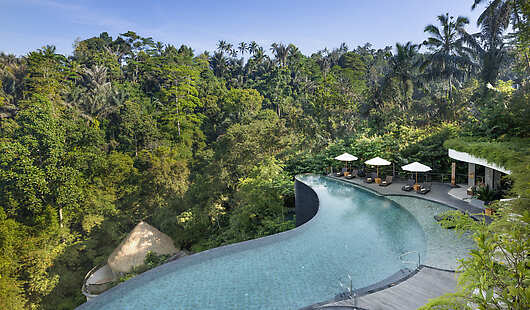 Aerial View of Swimming Pool and Jungle