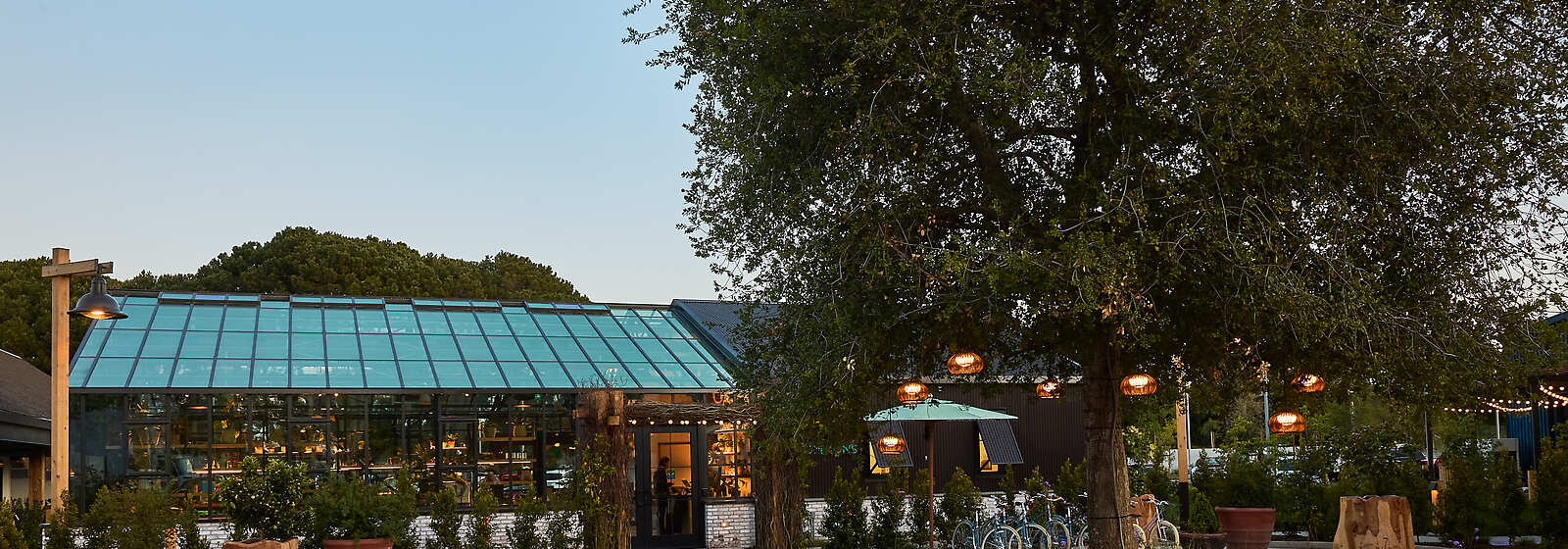 Treehouse Silicon Valley Arrival with Valet Parking