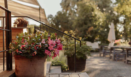 Hotel Skeppsholmen Summer Patio 