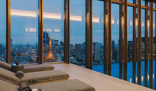 Indoor Infinity Pool 