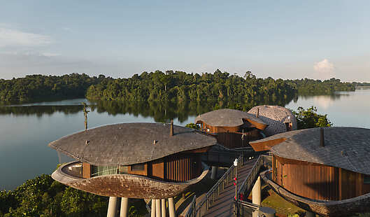 Aerial View of Treehouses