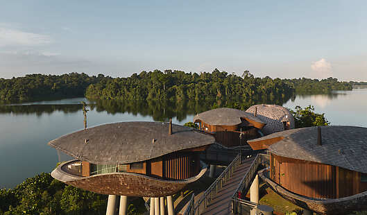 Mandai Rainforest Resort by Banyan Tree - East Wing Treehouses