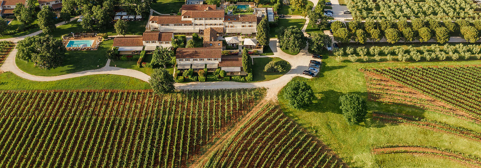 Aerial View of The Meneghetti Estate