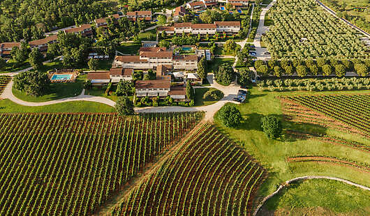 Aerial View of The Meneghetti Estate