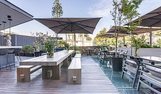 Magnolia Terrace