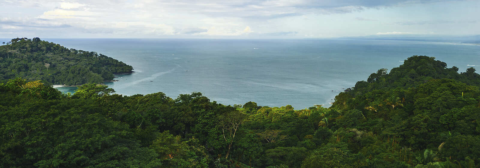 Aerial View of Los Altos Resort