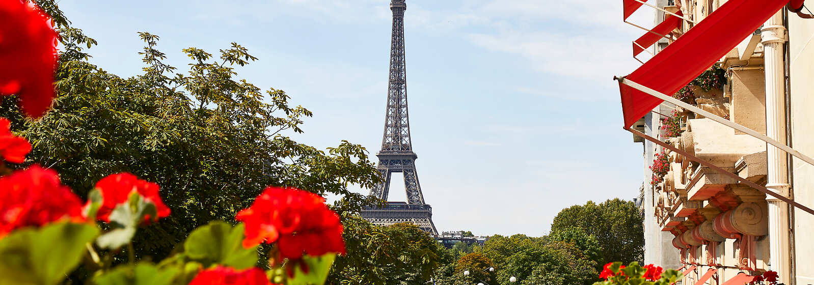 ホテル プラザ アテネ パリ ドーチェスターコレクション Fine Hotels Resorts Amex Travel Jp