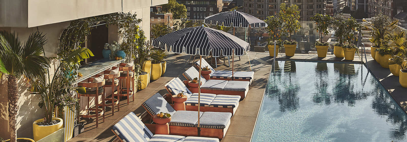 The Berkeley Rooftop Pool