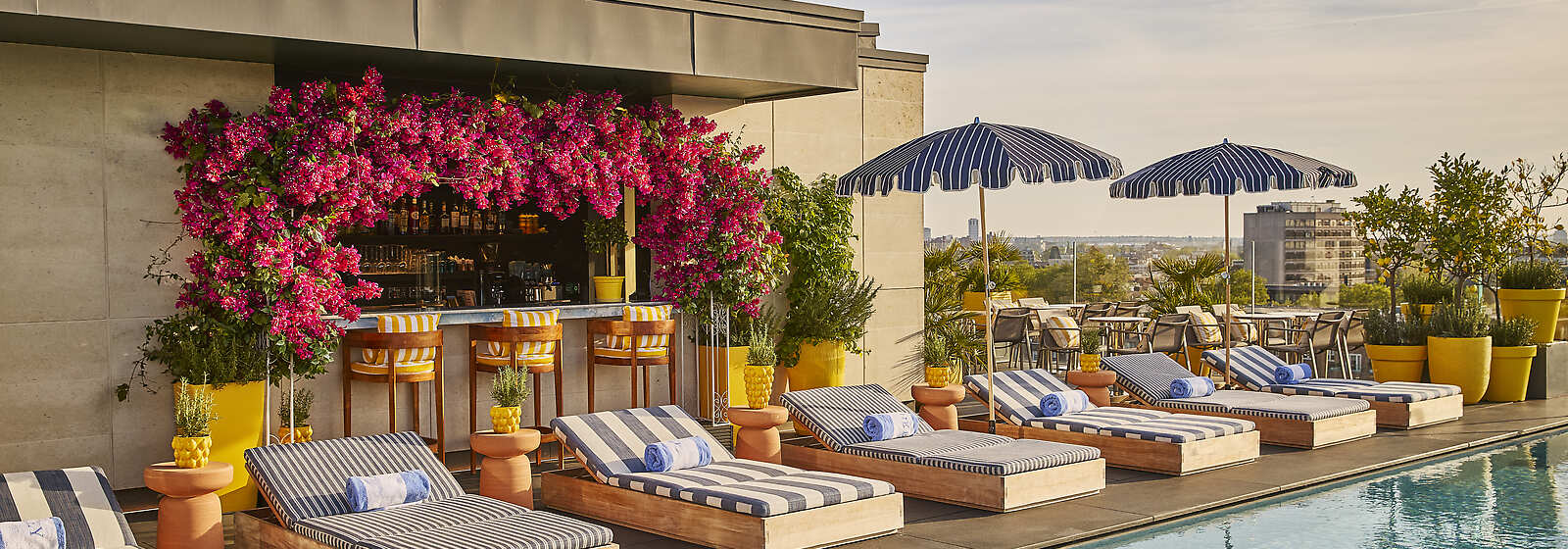 The Berkeley