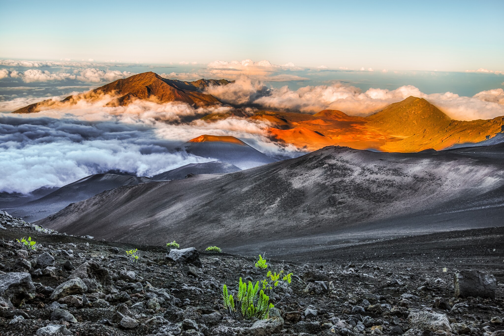 The Haleakala Crater soil is ashy, volcanic black and gray, dotted with bright green plants. Beyond, mountains are shrouded with mist.