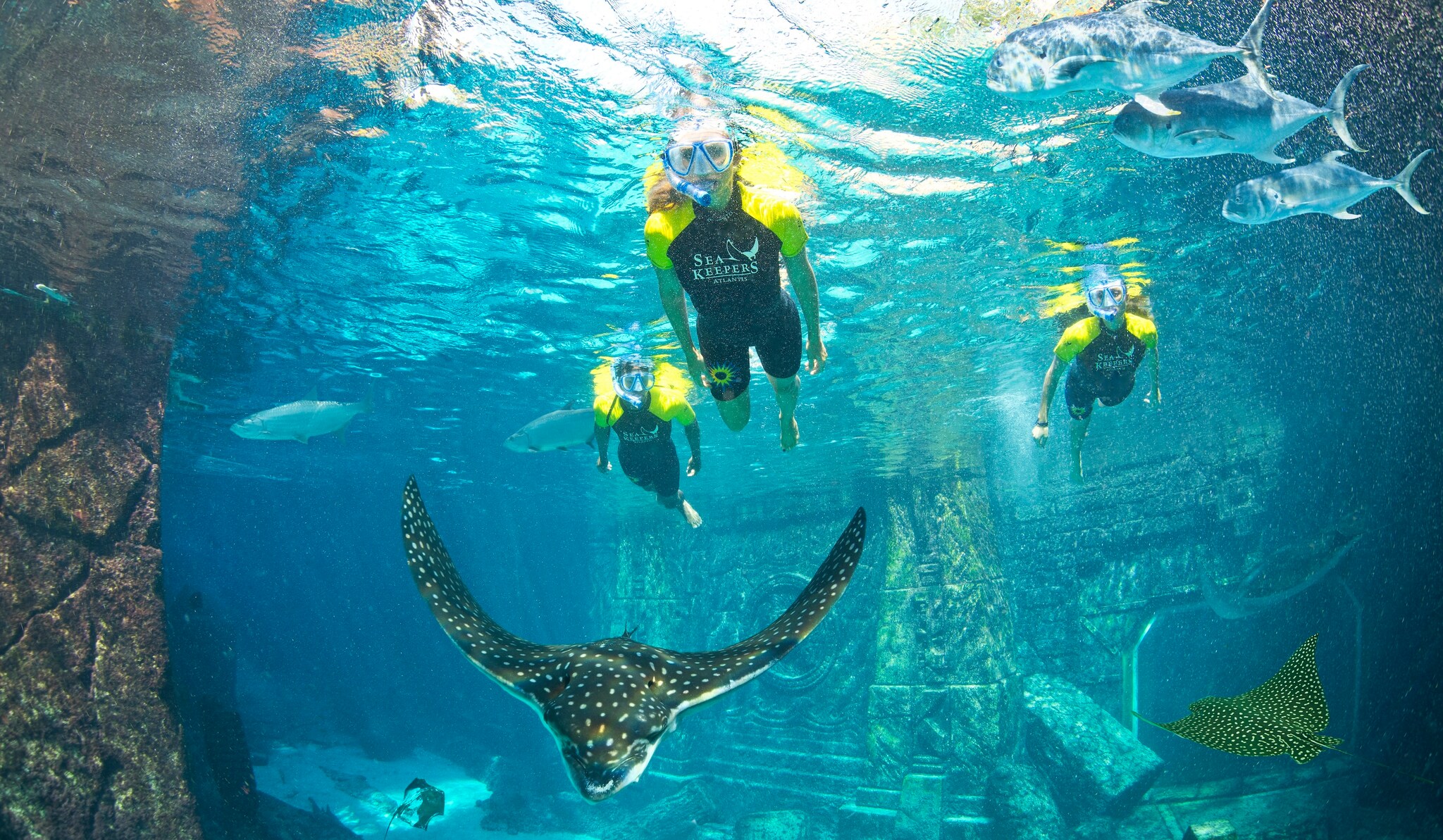 Three people wearing snorkeling gear and wetsuits with yellow sleeves swim between fish, including a manta ray gliding towards the camera.