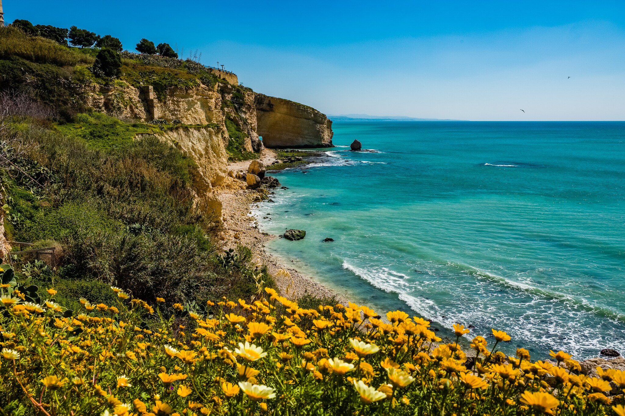 A beach on a sunny day. Yellow flowers grow densely in the foreground and cliffs stretch out for several hundred feet over blue-green water.